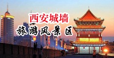 少妇性交BBBB中国陕西-西安城墙旅游风景区